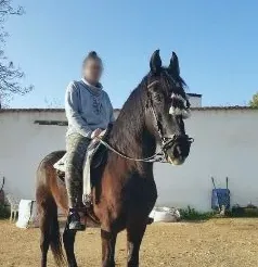 Anna, 31